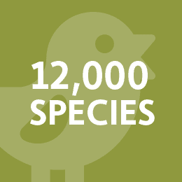 12,000 species