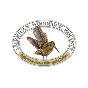 American Woodcock Society