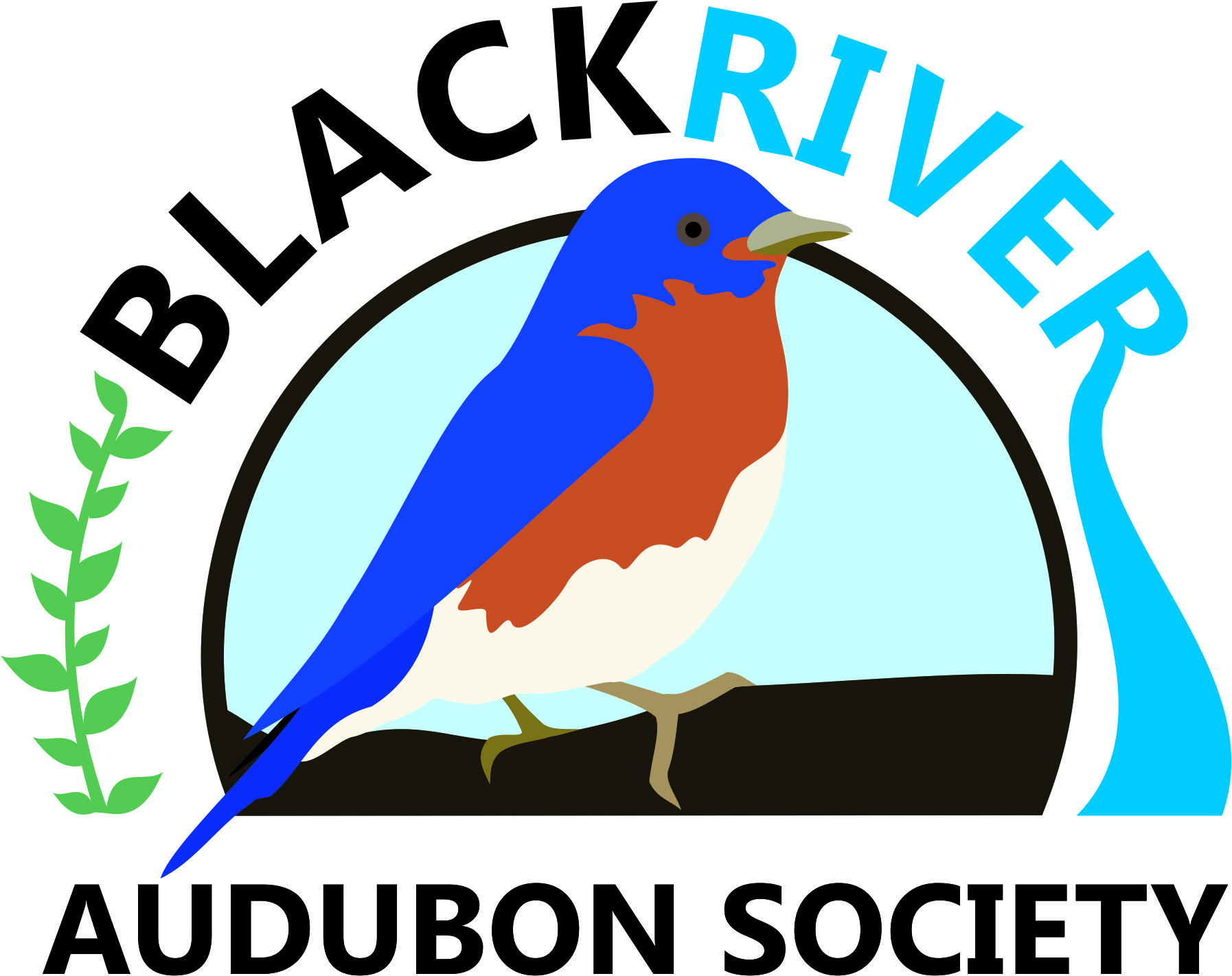 Black River Audubon Society