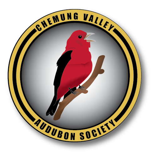Chemung Valley Audubon Society